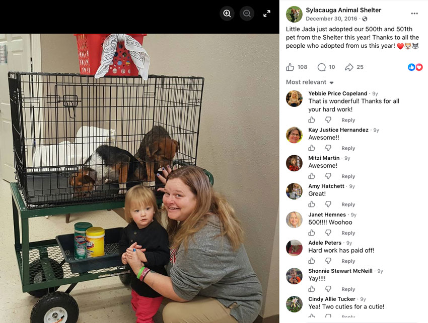 Sylacauga Animal Shelter 2016 Facebook post showing 500 adoptions.