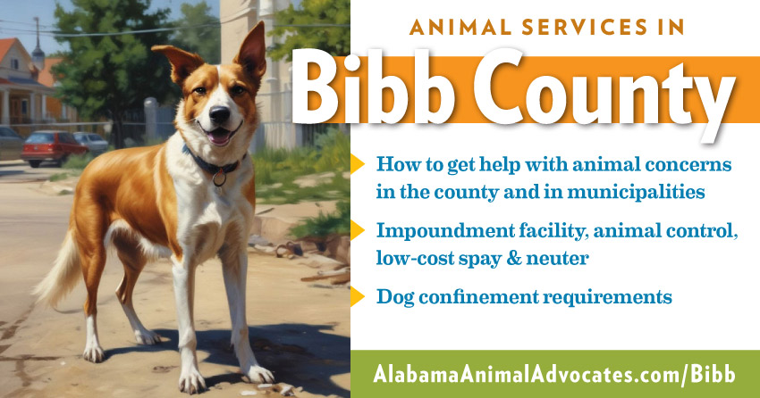 Graphic with image of dog and text: animal services in Bibb County, Alabama. How to get help with animal concerns, impoundment facility, animal control, low-cost spay & neuter, dog confinement requirements.