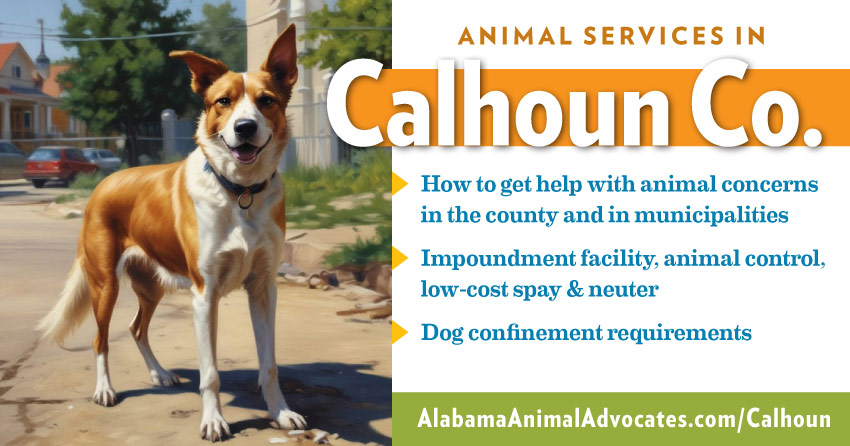 Animal services in Calhoun County, Alabama: How to get help with animal concerns, impoundment facility, animal control, low-cost spay & neuter, dog confinement requirements.