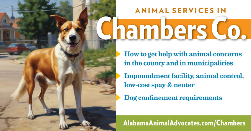 Animal services in Chambers County, Alabama: How to get help with animal concerns, impoundment facility, animal control, low-cost spay & neuter, dog confinement requirements.