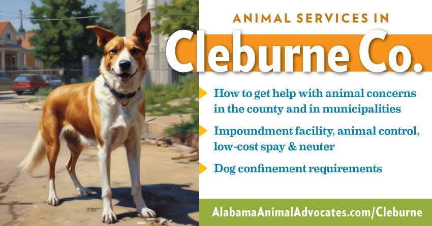 Animal services in Cleburne County, Alabama: How to get help with animal concerns, impoundment facility, animal control, low-cost spay & neuter, dog confinement requirements.