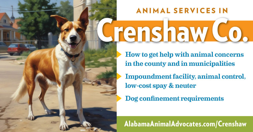 Animal services in Crenshaw County, Alabama: How to get help with animal concerns, impoundment facility, animal control, low-cost spay & neuter, dog confinement requirements.