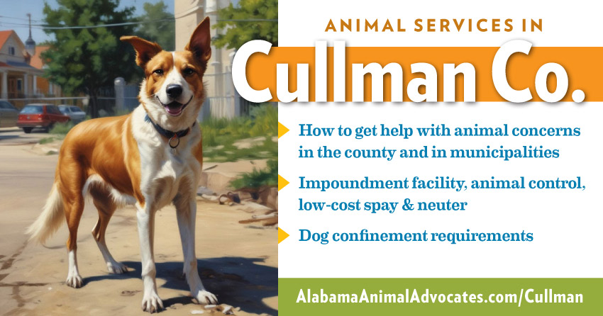 Animal services in Cullman County, Alabama. How to get help with animal concerns, impoundment facility, animal control, low-cost spay & neuter, dog confinement requirements.