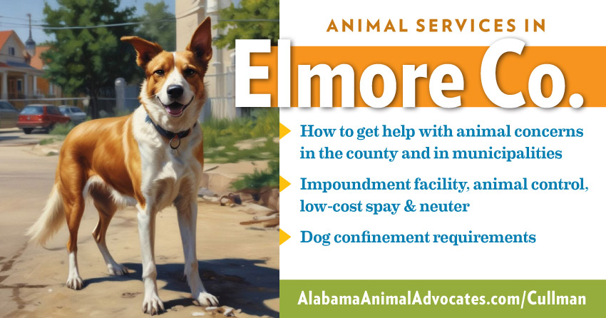 Animal services in Elmore County, Alabama: How to get help with animal concerns, impoundment facility, animal control, low-cost spay & neuter, dog confinement requirements.
