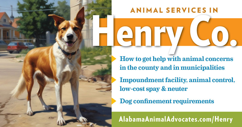 Animal services in Henry County, Alabama: How to get help with animal concerns, impoundment facility, animal control, low-cost spay & neuter, dog confinement requirements.