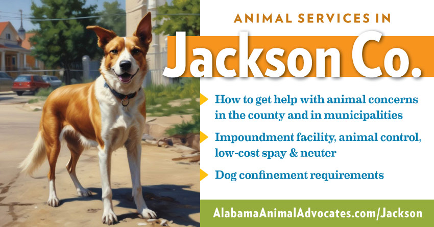 Animal services in Jackson County, Alabama: How to get help with animal concerns, impoundment facility, animal control, low-cost spay & neuter, dog confinement requirements.
