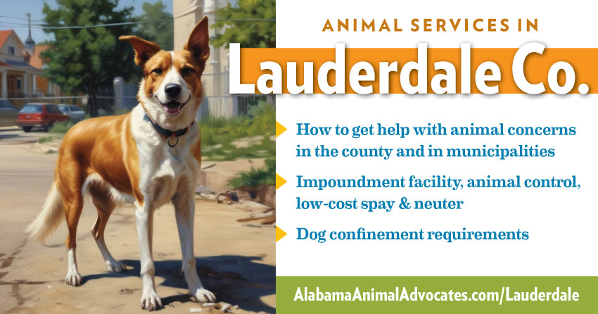 Animal services in Lauderdale County, Alabama: How to get help with animal concerns, impoundment facility, animal control, low-cost spay & neuter, dog confinement requirements.