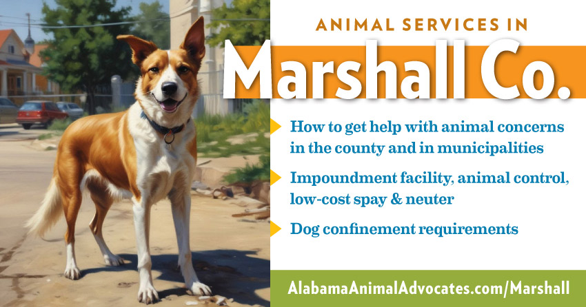 Animal services in Marshall County, Alabama. How to get help with animal concerns, impoundment facility, animal control, low-cost spay & neuter, dog confinement requirements.