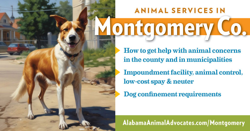 Animal services in Montgomery County, Alabama. How to get help with animal concerns, impoundment facility, animal control, low-cost spay & neuter, dog confinement requirements.
