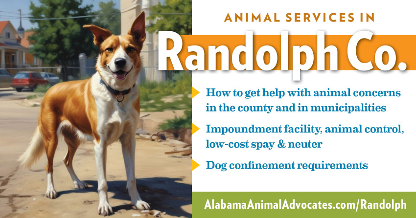 Animal services in Randolph County, Alabama: How to get help with animal concerns, impoundment facility, animal control, low-cost spay & neuter, dog confinement requirements.