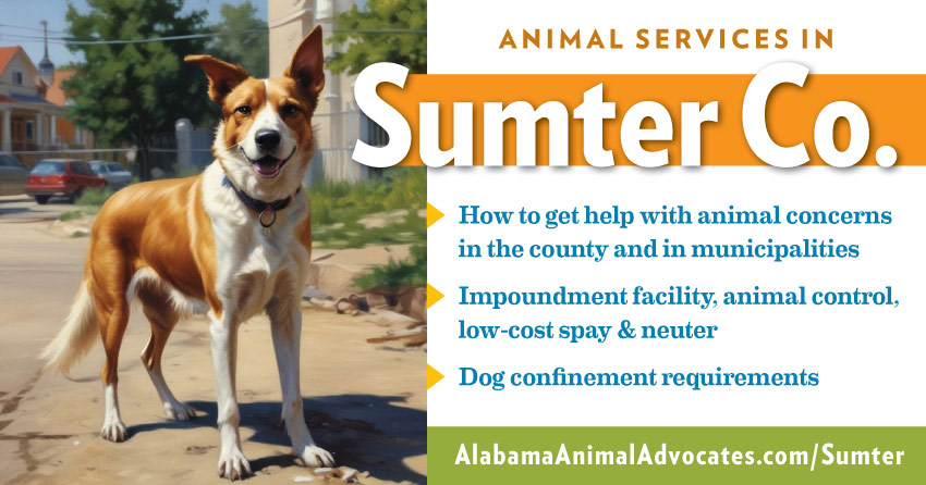 Animal services in Sumter County, Alabama: How to get help with animal concerns, impoundment facility, animal control, low-cost spay & neuter, dog confinement requirements.