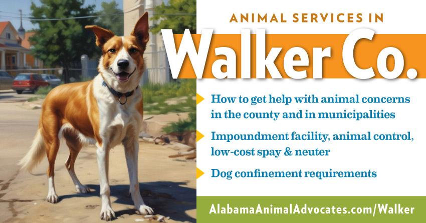 Graphic with image of dog and text: animal services in Walker County, Alabama. How to get help with animal concerns, impoundment facility, animal control, low-cost spay & neuter, dog confinement requirements.