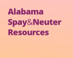 Alabama Spay & Neuter Resources — Statewide Resource