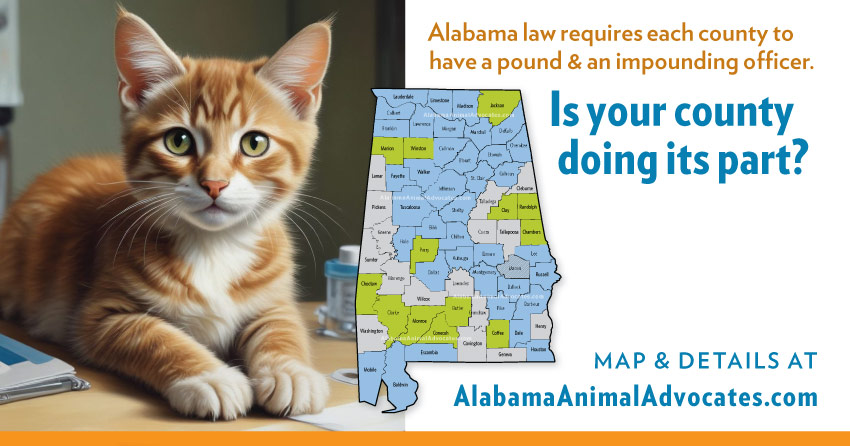 Alabama law requires each county to have a pound and an impounding officer. Is your county doing its part?